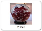 V-009