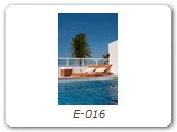 E-016