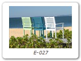 E-027