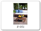 E-051