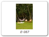 E-087