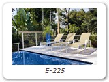 E-225