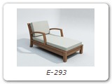 E-293