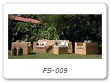 FS-009