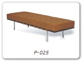 P-025